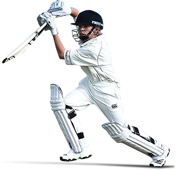 Online Cricket Betting ID and Its Importance in Cricket Betting