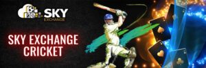 Play safe with SkyExchange ID